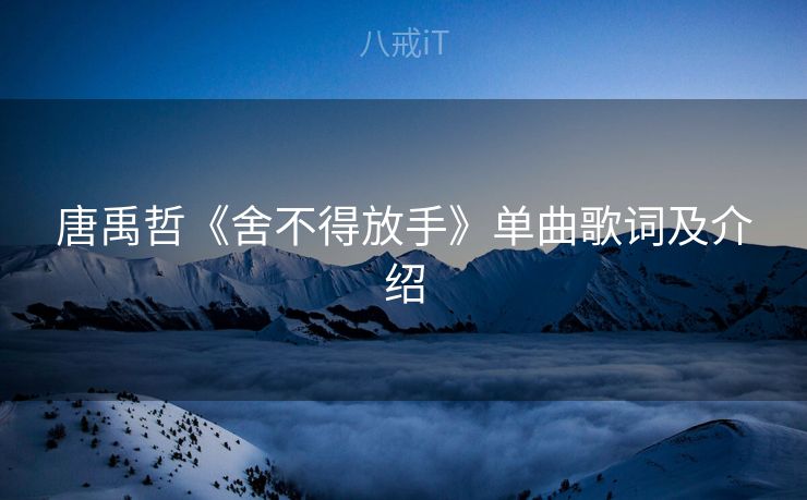 唐禹哲《舍不得放手》单曲歌词及介绍