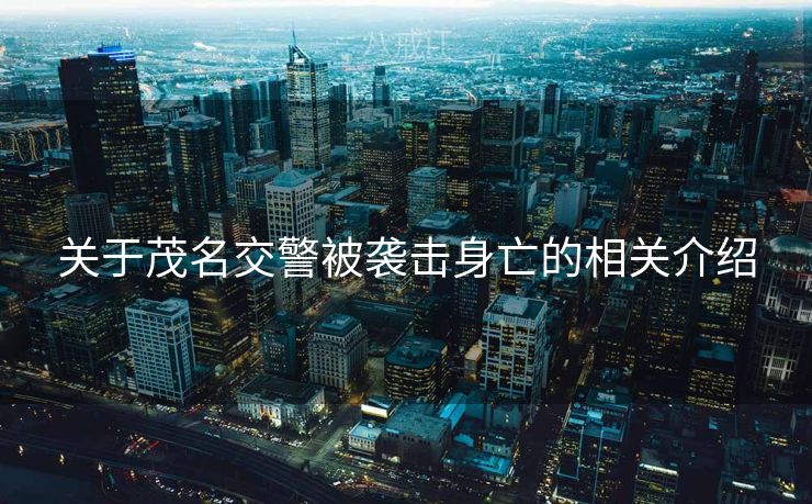 关于茂名交警被袭击身亡的相关介绍 关于茂名交警被袭击身亡的相关介绍