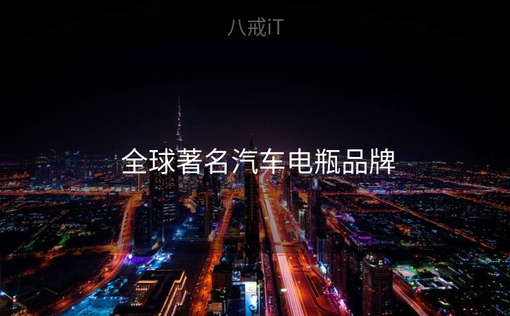  全球著名汽车电瓶品牌