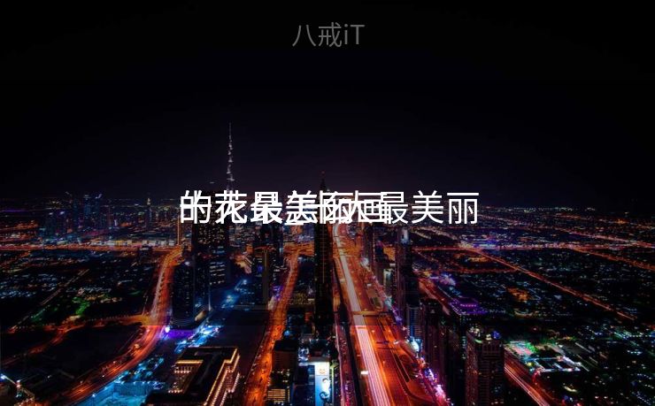 十大最美丽
的花朵_十大最美丽
的花朵怎么画