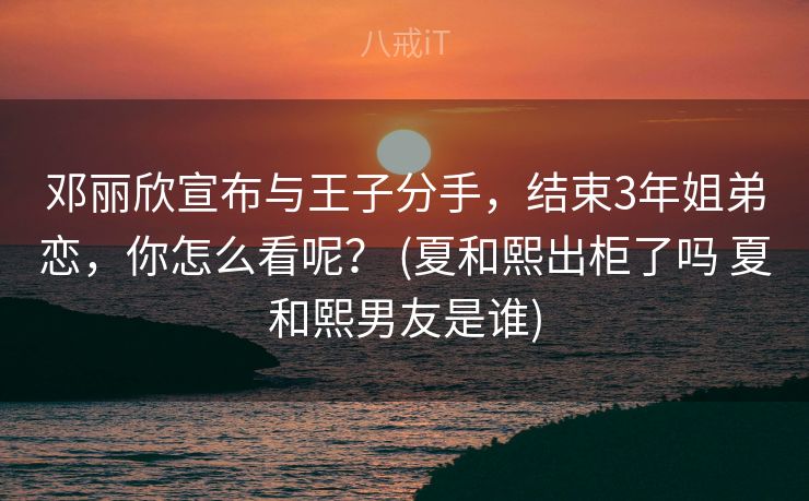邓丽欣宣布与王子分手，结束3年姐弟恋，你怎么看呢？ (夏和熙出柜了吗 夏和熙男友是谁)