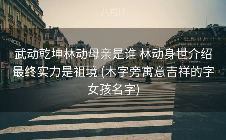 武动乾坤林动母亲是谁 林动身世介绍最终实力是祖境 (木字旁寓意吉祥的字女孩名字) 武动乾坤林动母亲是谁 林动身世介绍最终实力是祖境 (木字旁寓意吉祥的字女孩名字)
