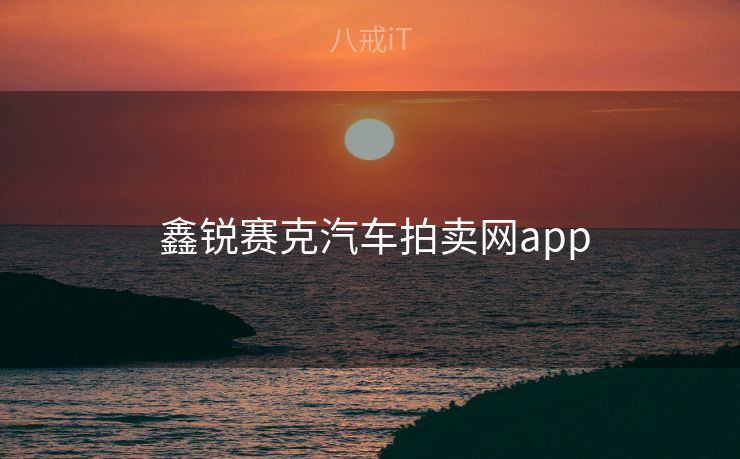  鑫锐赛克汽车拍卖网app