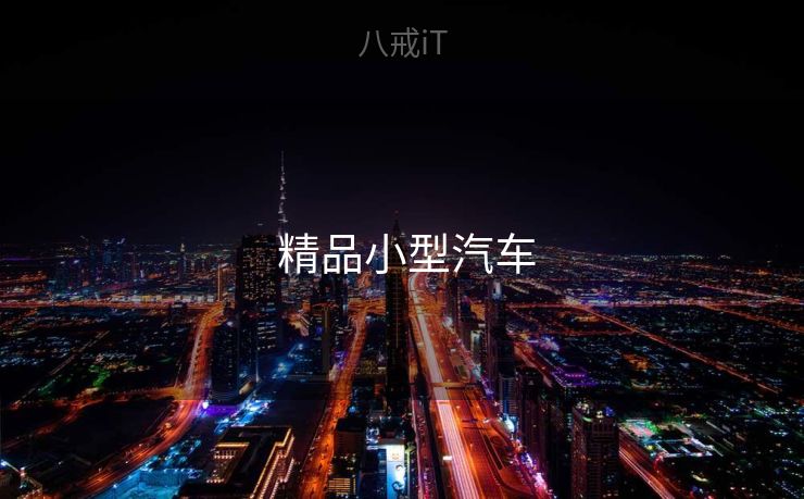  精品小型汽车