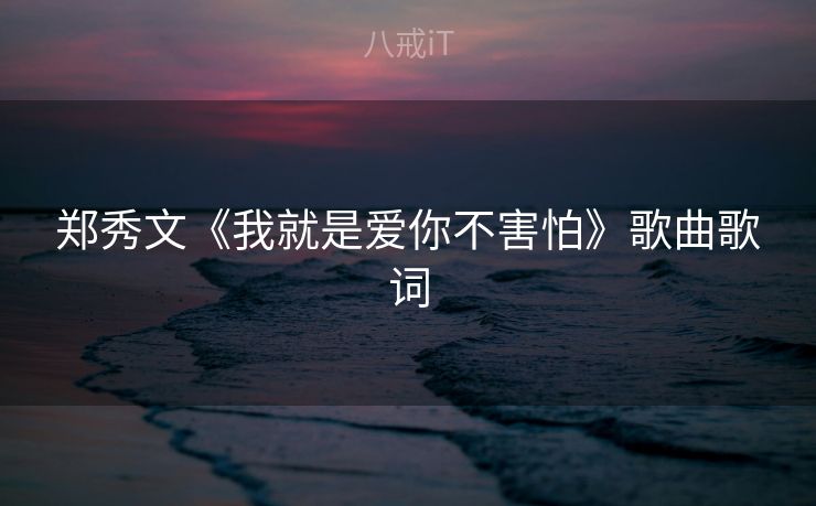 郑秀文《我就是爱你不害怕》歌曲歌词