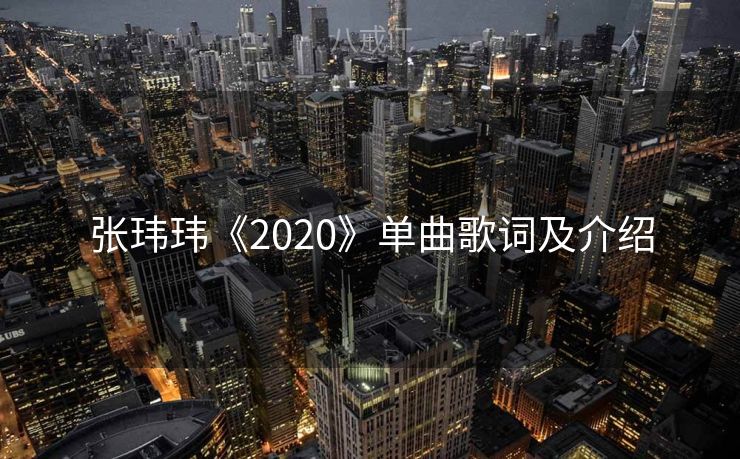张玮玮《2020》单曲歌词及介绍