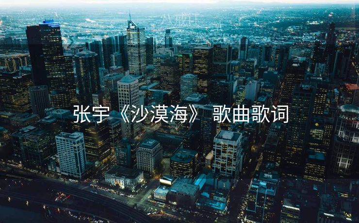 张宇《沙漠海》 歌曲歌词