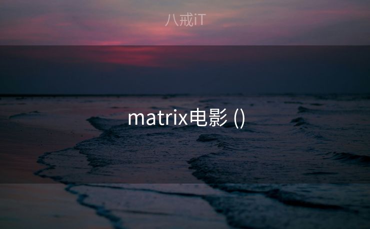 matrix电影 ()