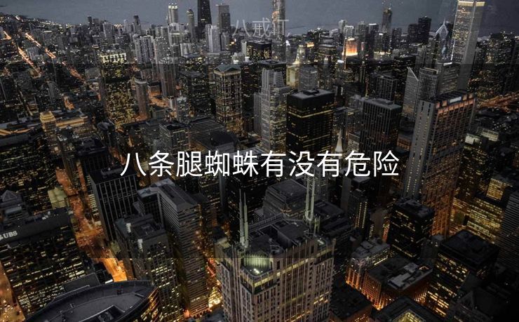 八条腿蜘蛛有没有危险