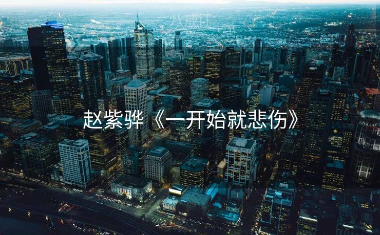 赵紫骅《一开始就悲伤》