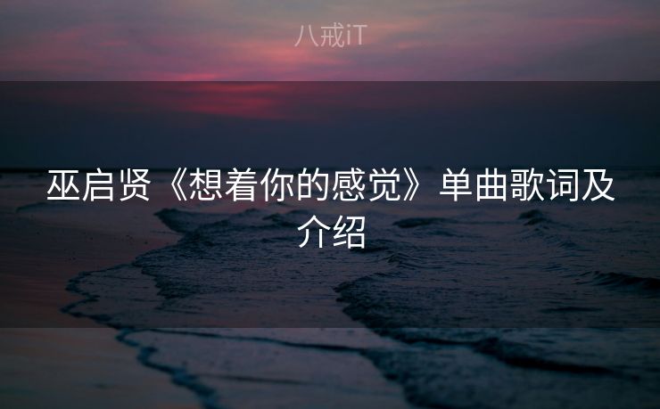 巫启贤《想着你的感觉》单曲歌词及介绍 巫启贤《想着你的感觉》单曲歌词及介绍