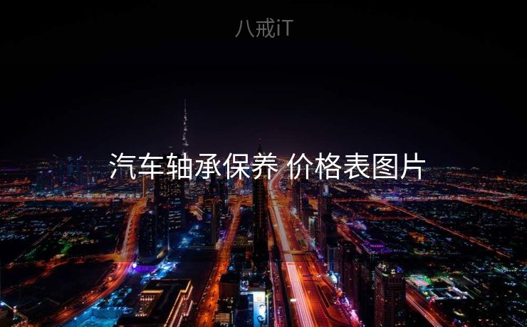  汽车轴承保养 价格表图片