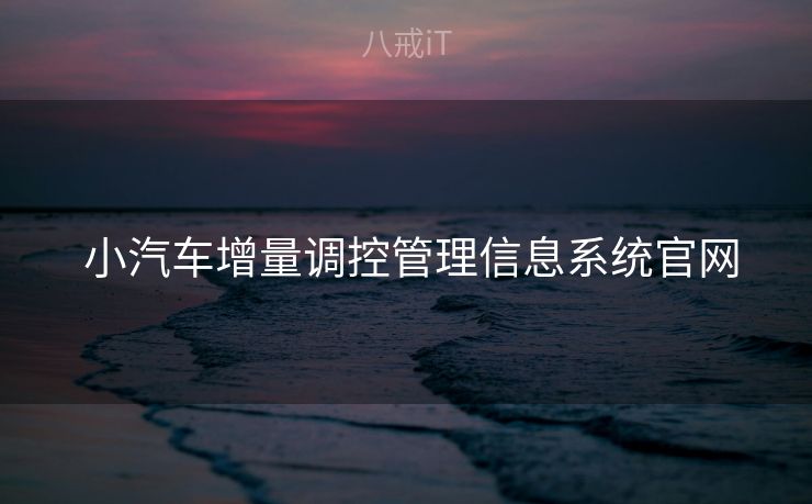  小汽车增量调控管理信息系统官网
