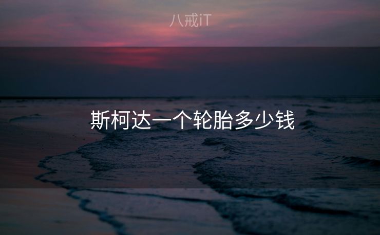  斯柯达一个轮胎多少钱