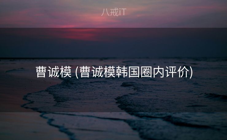 曹诚模 (曹诚模韩国圈内评价)