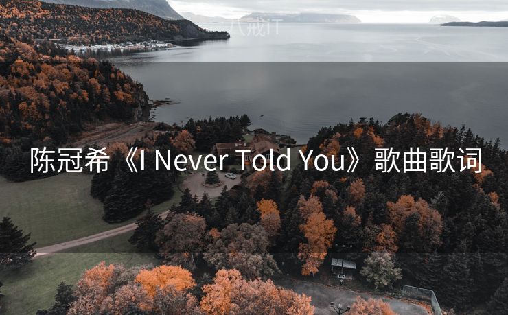 陈冠希《I Never Told You》歌曲歌词