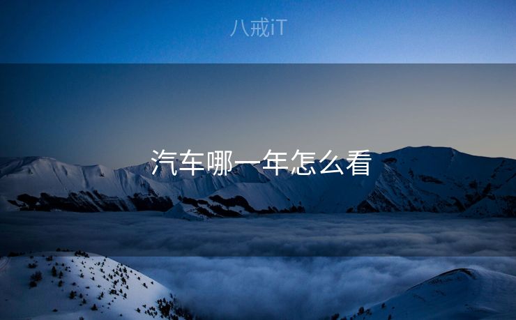 汽车哪一年怎么看  汽车哪一年怎么看