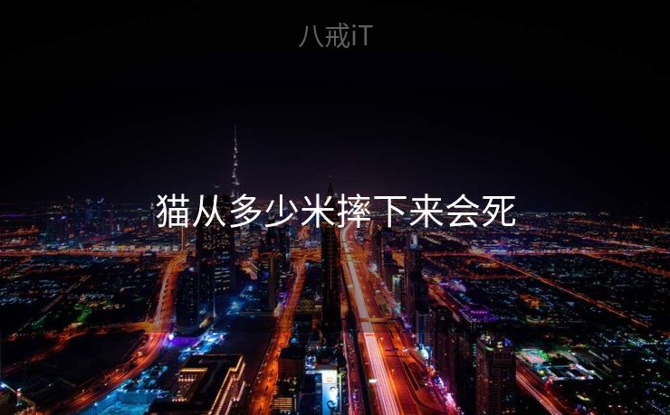 猫从多少米摔下来会死 猫从多少米摔下来会死