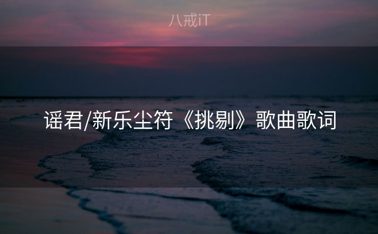 谣君/新乐尘符《挑剔》歌曲歌词