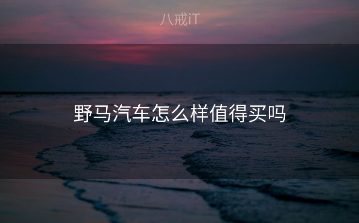 野马汽车怎么样值得买吗