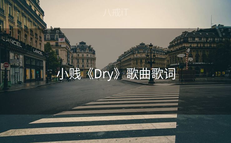 小贱《Dry》歌曲歌词