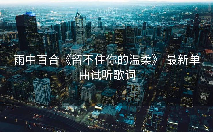 雨中百合《留不住你的温柔》 最新单曲试听歌词