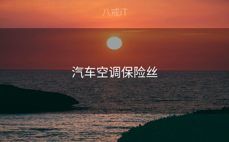 汽车空调保险丝
