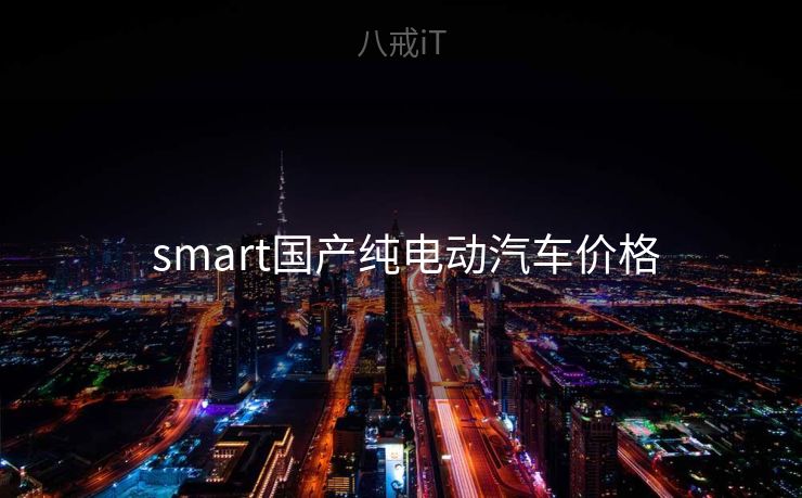  smart国产纯电动汽车价格