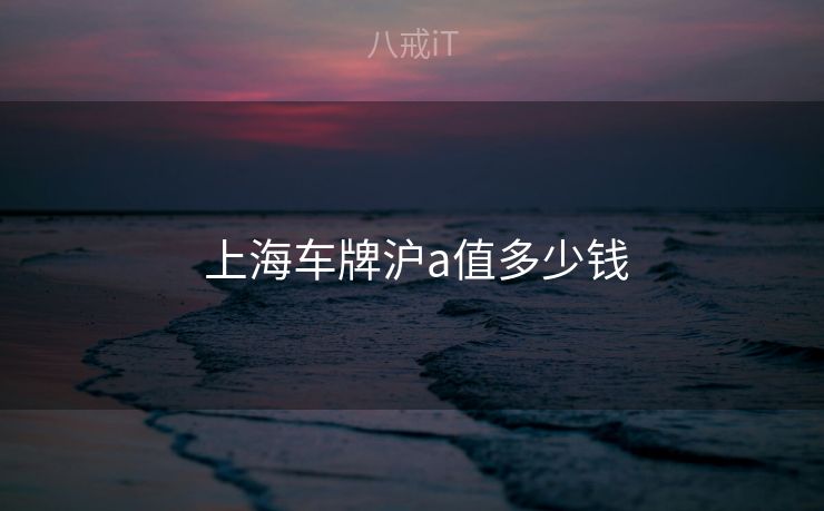 上海车牌沪a值多少钱