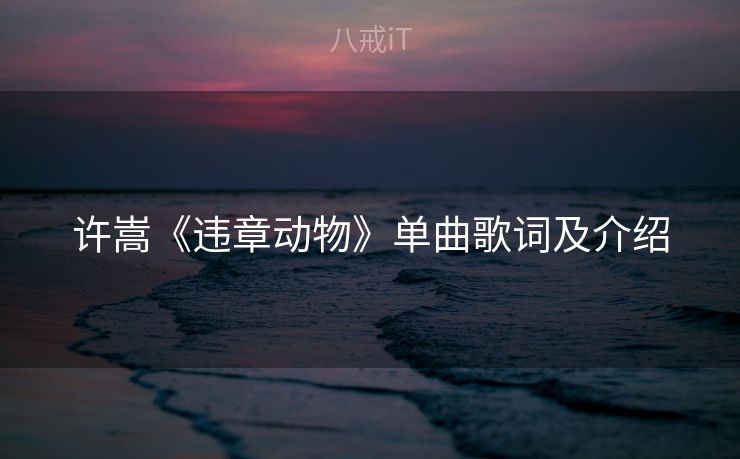 许嵩《违章动物》单曲歌词及介绍
