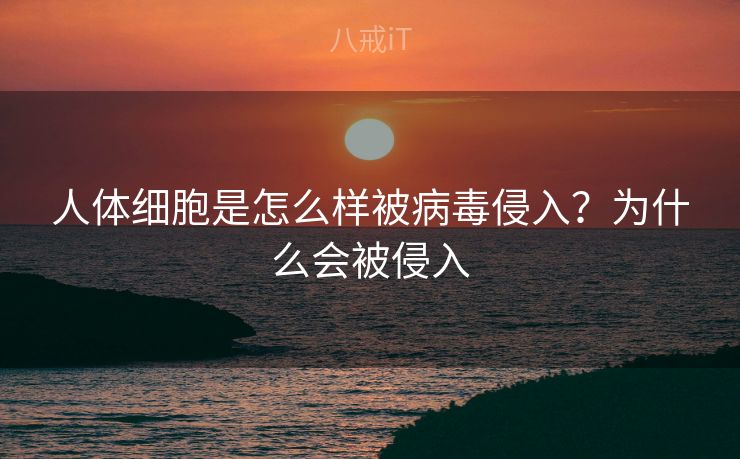 人体细胞是怎么样被病毒侵入？为什么会被侵入