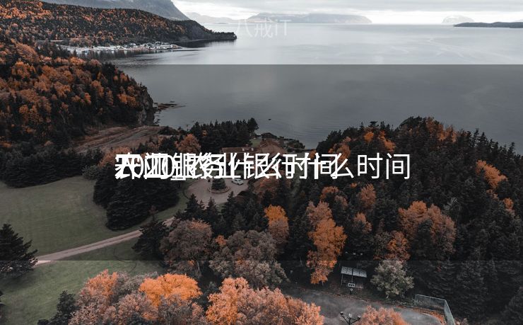 农业银行什么时间
开工_农业银行什么时间
开门业务
2020