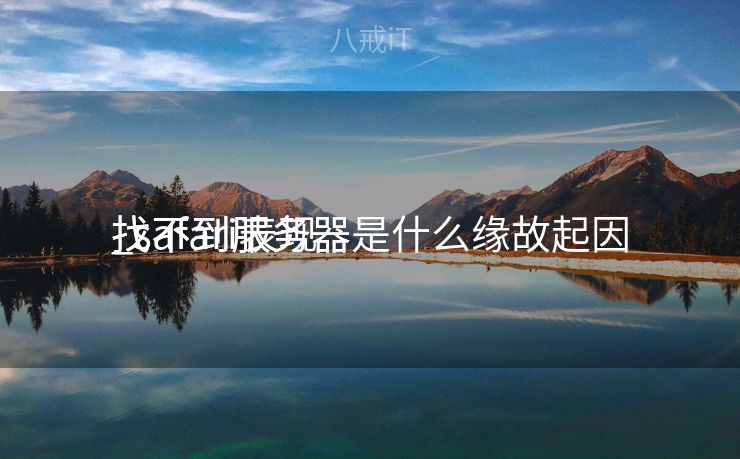 找不到服务器是什么缘故起因

_safari表现
找不到服务器