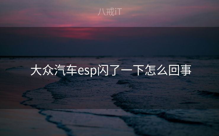  大众汽车esp闪了一下怎么回事