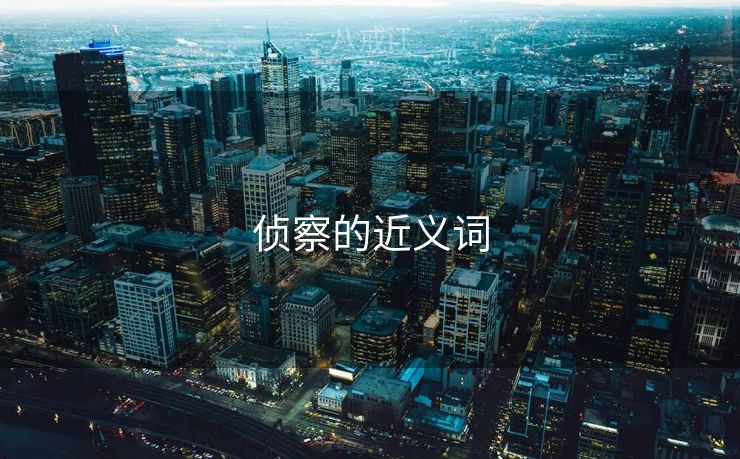 侦察的近义词 侦察的近义词