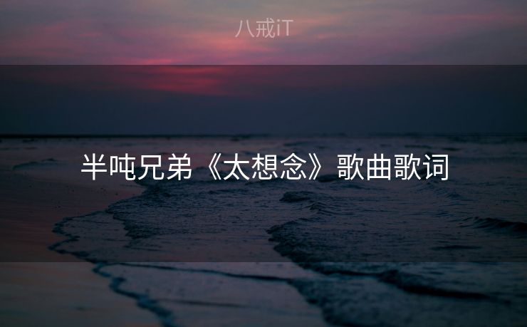 半吨兄弟《太想念》歌曲歌词