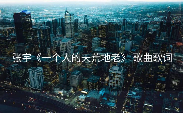 张宇《一个人的天荒地老》 歌曲歌词