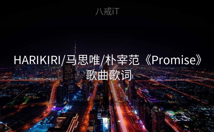HARIKIRI/马思唯/朴宰范《Promise》 歌曲歌词