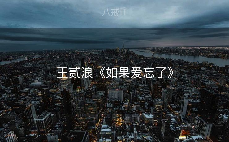 王贰浪《如果爱忘了》