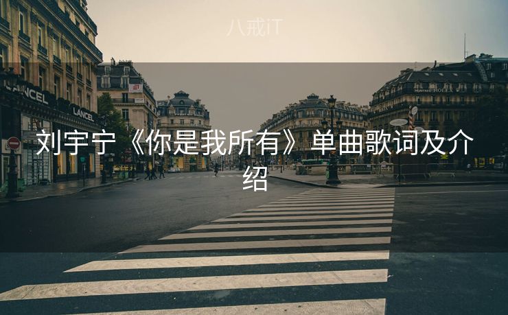 刘宇宁《你是我所有》单曲歌词及介绍 刘宇宁《你是我所有》单曲歌词及介绍