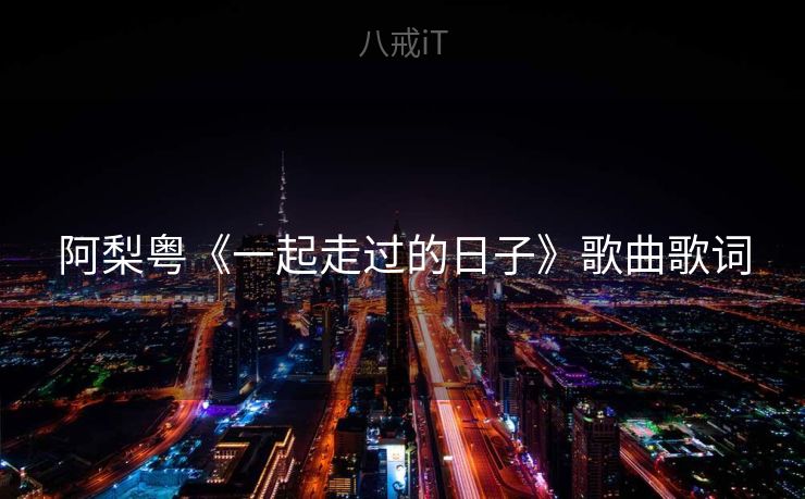 阿梨粤《一起走过的日子》歌曲歌词