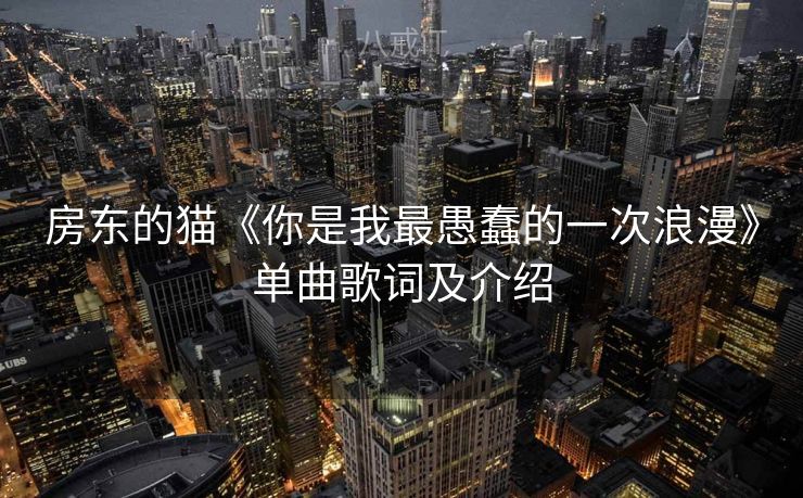 房东的猫《你是我最愚蠢的一次浪漫》单曲歌词及介绍