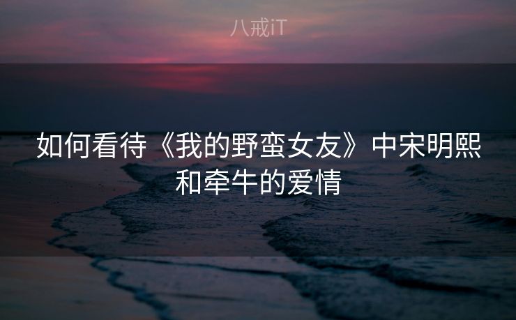 如何看待《我的野蛮女友》中宋明熙和牵牛的爱情