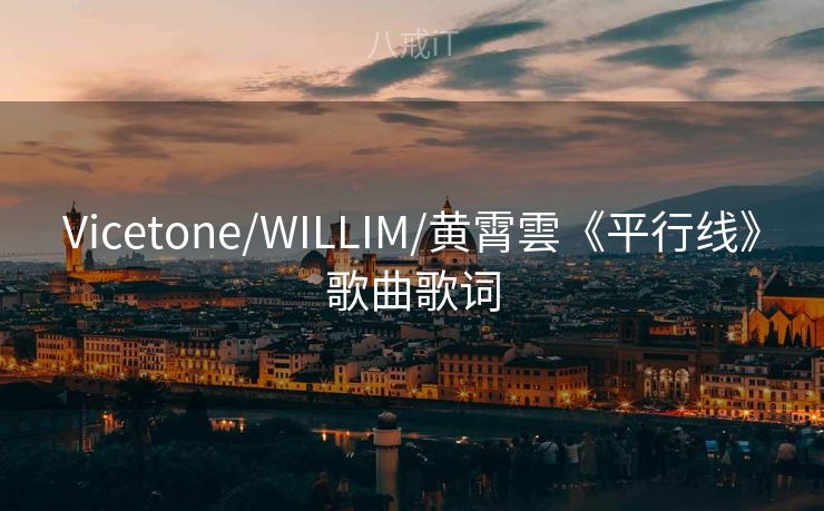 Vicetone/WILLIM/黄霄雲《平行线》歌曲歌词
