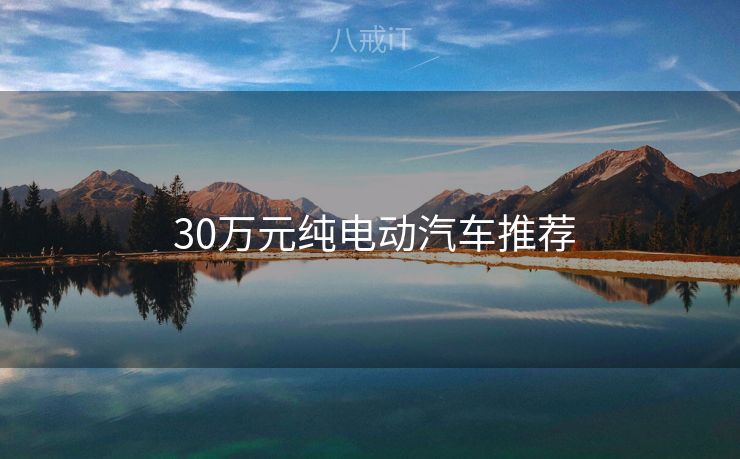 30万元纯电动汽车推荐  30万元纯电动汽车推荐