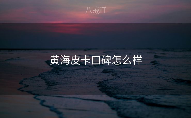 黄海皮卡口碑怎么样 黄海皮卡口碑怎么样
