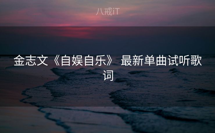 金志文《自娱自乐》 最新单曲试听歌词