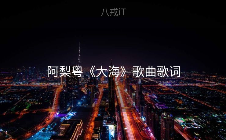 阿梨粤《大海》歌曲歌词