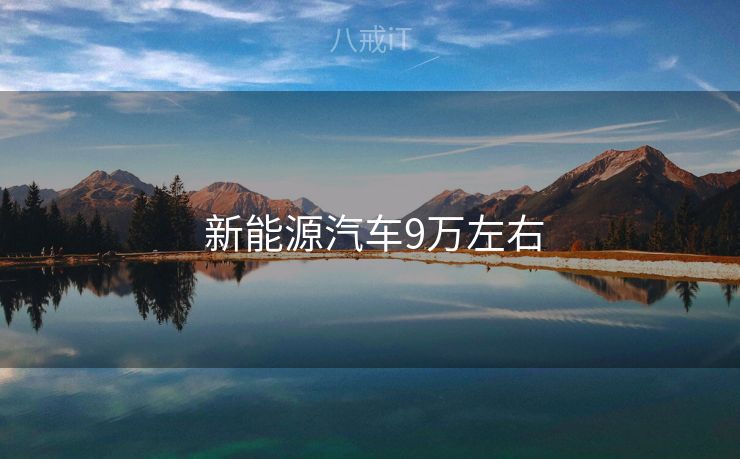  新能源汽车9万左右