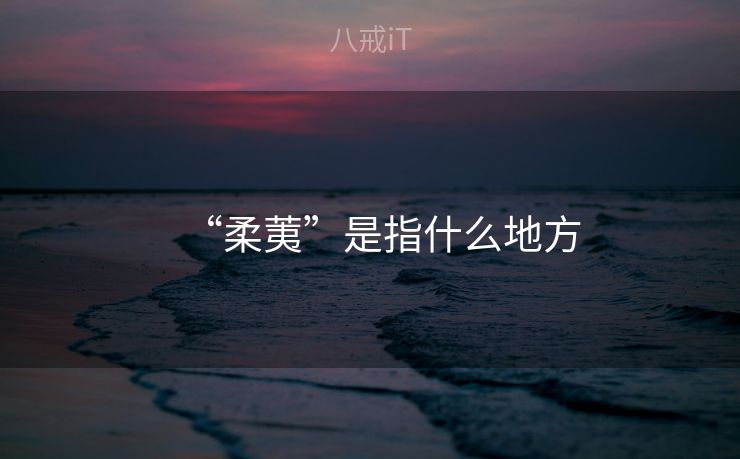 “柔荑”是指什么地方
